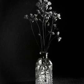 Week 15  Creative