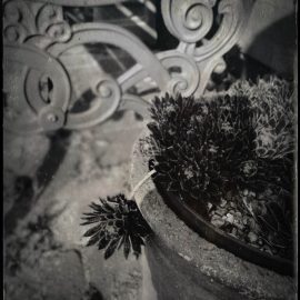 Week 17 Rely