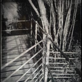 Week 20- Live where I am