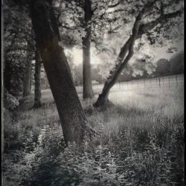 Week 24 – Be still