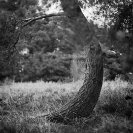 Week 28 -Learning to rely
