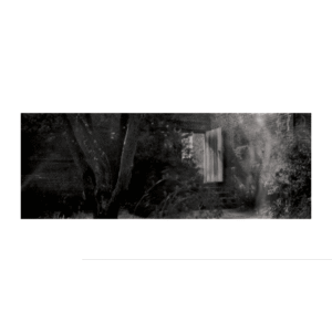 Sissinghurst Contact Print