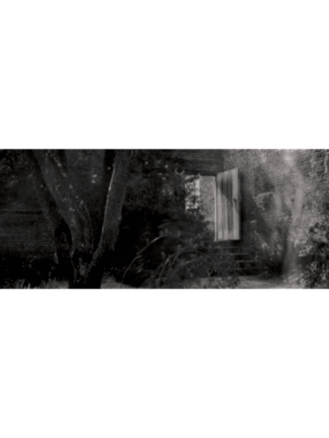 Sissinghurst Contact Print