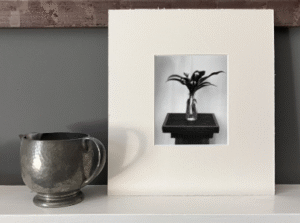 Mounted contact print