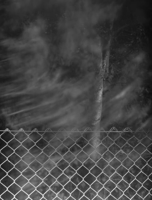 IMG_2427